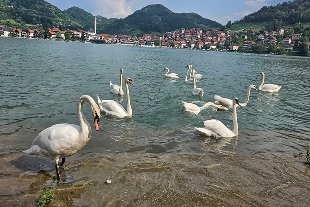 Royal Plaža Restoran