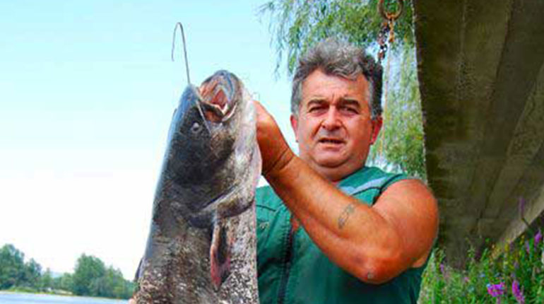 Somovijada