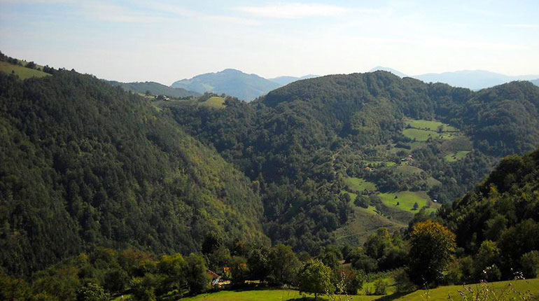 Radalj