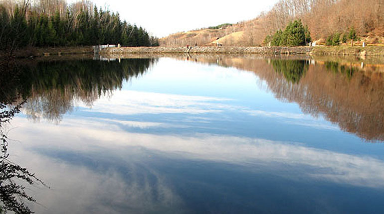 Radaljska banja