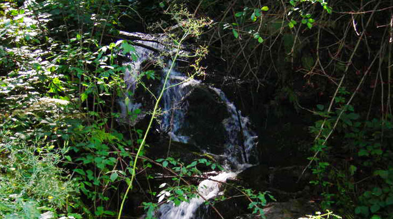 Izvor